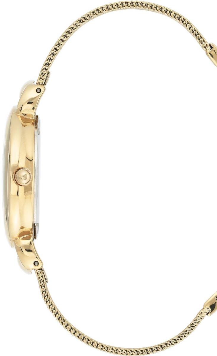 Наручные часы  Anne Klein  Steel Anne Klein 3806SVGB (фото 2)