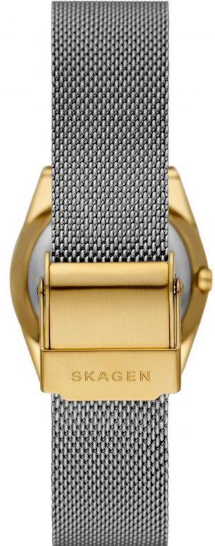 Наручные часы  Skagen  GRENEN Skagen SKW3051 (фото 2)
