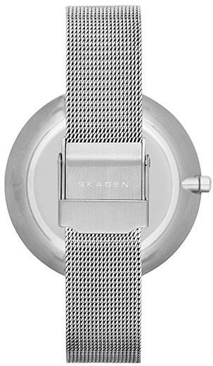Наручные часы  Skagen  Steel Skagen SKW2140 (фото 3)