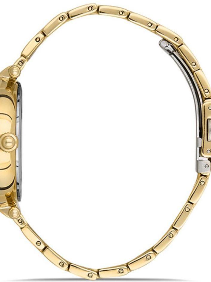 Наручные часы  Daniel Klein  Premium Daniel Klein 13213-5 (фото 2)