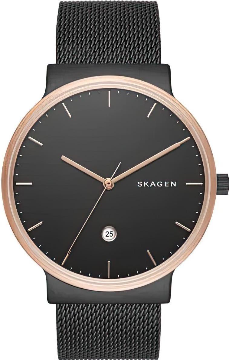 Наручные часы  Skagen  Steel Skagen SKW6296 (фото 1)
