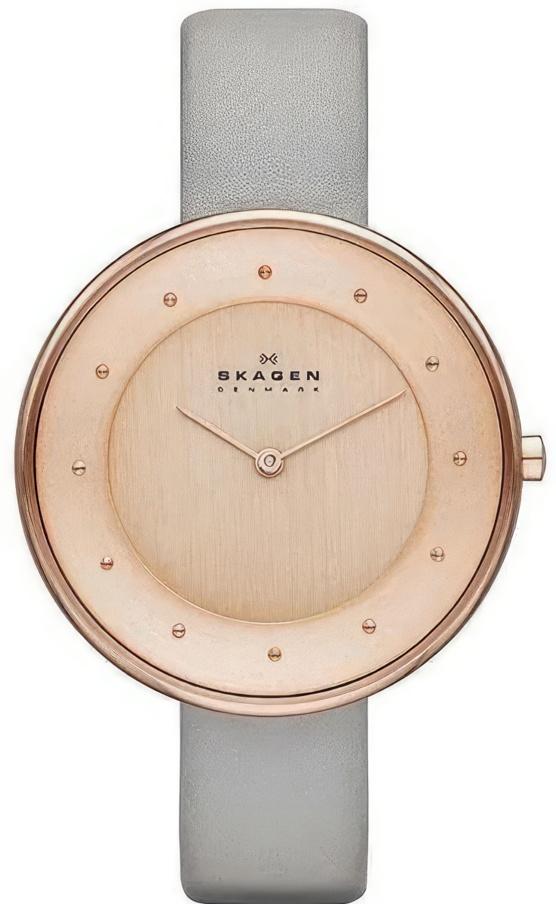 Наручные часы  Skagen  Leather Skagen SKW2139 (фото 1)