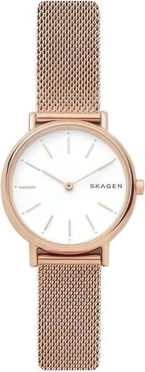 Наручные часы  Skagen  Steel Women Skagen SKW2694 (фото 1)
