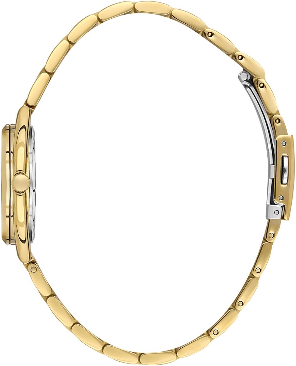 Наручные часы  Daniel Klein  Premium Daniel Klein 14180-3 (фото 2)