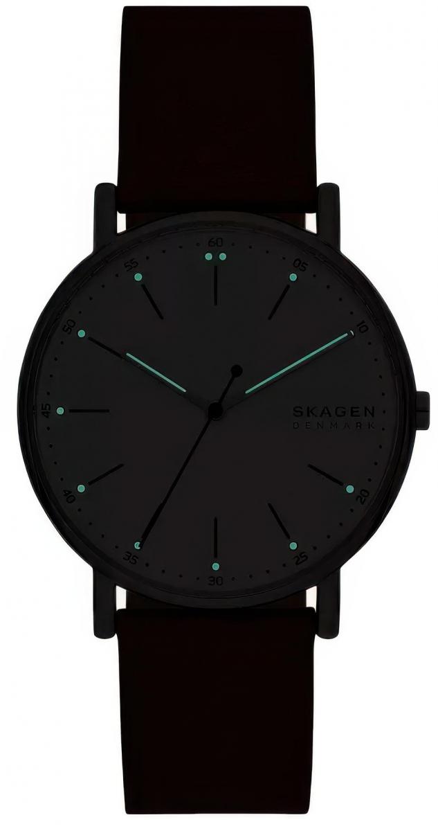Наручные часы  Skagen  Signatur Skagen SKW6903 (фото 4)
