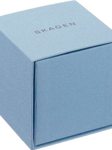 Наручные часы  Skagen  Leather Skagen SKW6430 (фото 2)