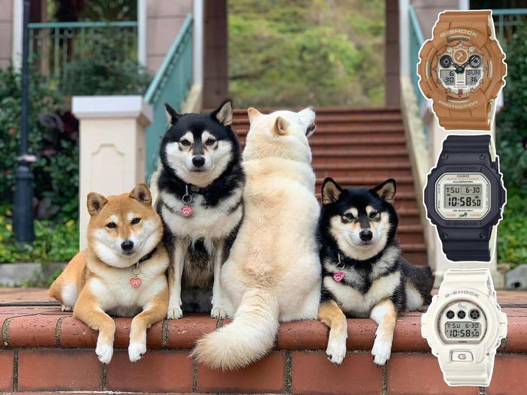 Наручные часы  Casio  G-Shock Casio DW-5600SHB-1E (фото 3)