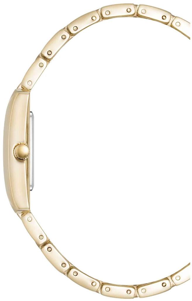 Наручные часы  Anne Klein  Metals Anne Klein 5114SVGB (фото 3)