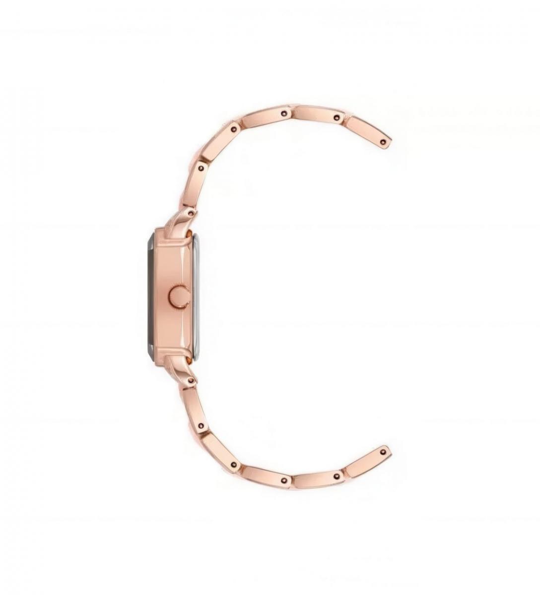 Наручные часы  Anne Klein  Ceramic Anne Klein 5010RGPK (фото 3)