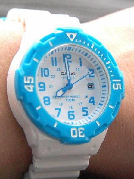 Наручные часы  Casio  Collection Casio LRW-200H-2B (фото 2)