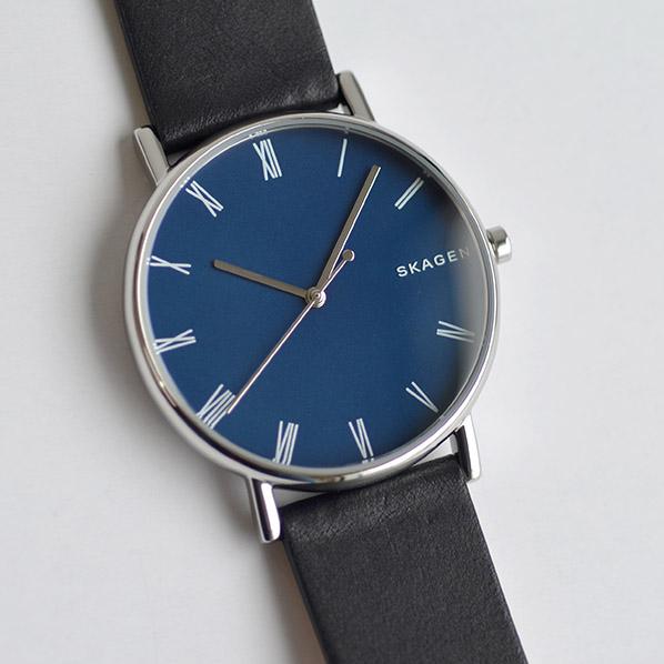Наручные часы  Skagen  Leather Skagen SKW6434 (фото 2)