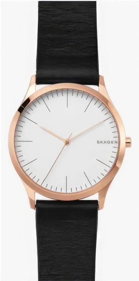 Наручные часы  Skagen  Leather Skagen SKW1102 (фото 1)