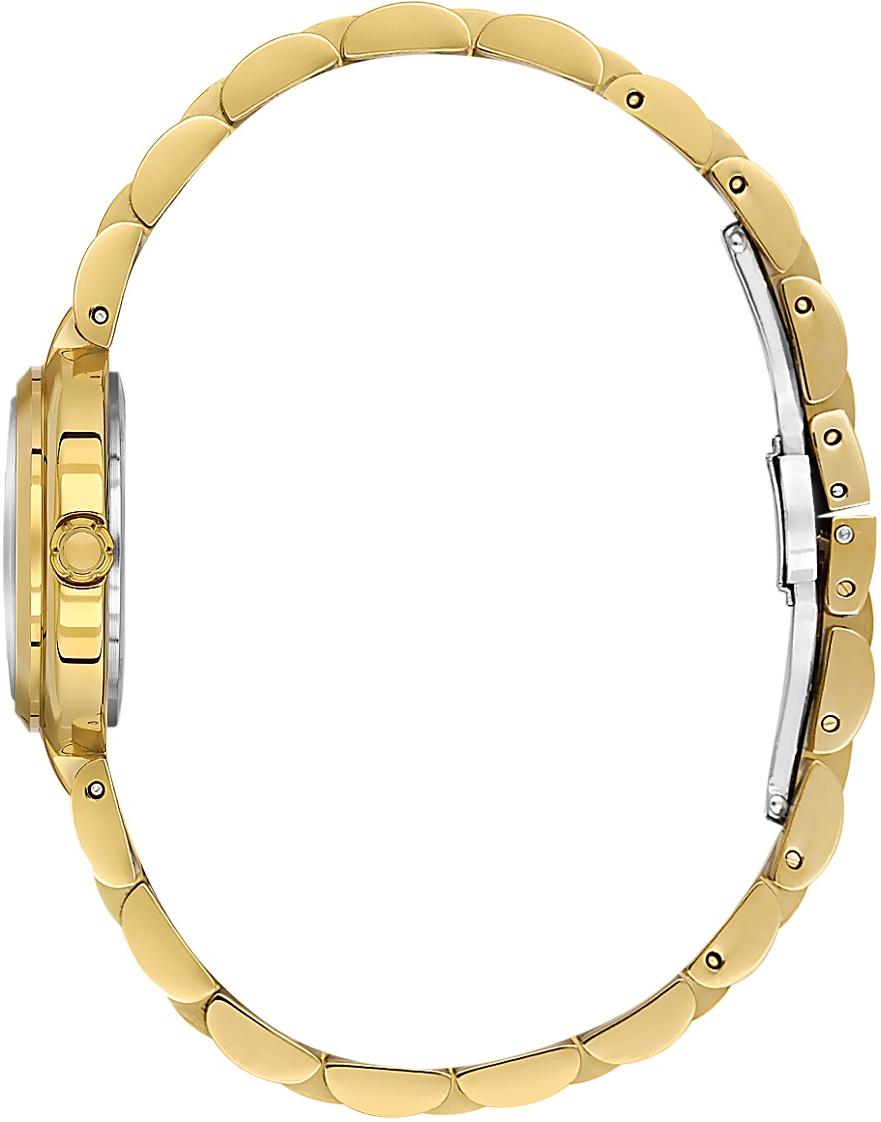 Наручные часы  Daniel Klein  Premium Daniel Klein 14173-3 (фото 2)