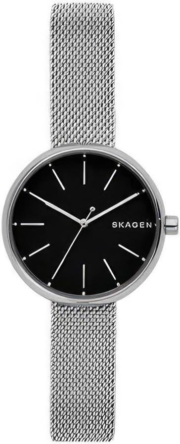 Наручные часы  Skagen  Steel Women Skagen SKW2596 (фото 1)
