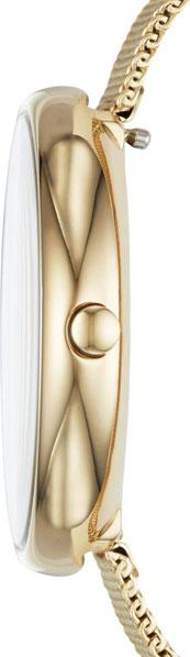 Наручные часы  Skagen  Steel Women Skagen SKW2625 (фото 2)