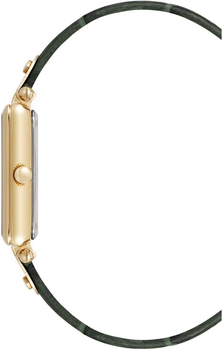 Наручные часы  Anne Klein  Consider It Anne Klein 5152GMDG (фото 2)