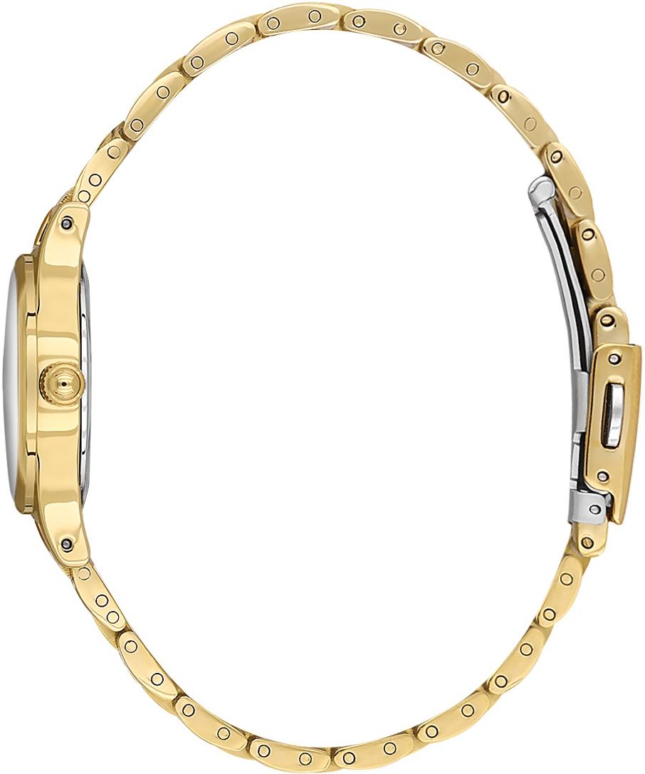 Наручные часы  Daniel Klein  Premium Daniel Klein 14174-6 (фото 2)