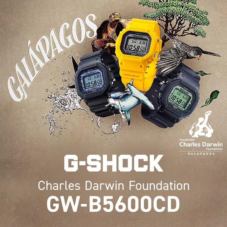 Наручные часы  Casio  G-Shock Casio GW-B5600CD-1A3 (фото 2)