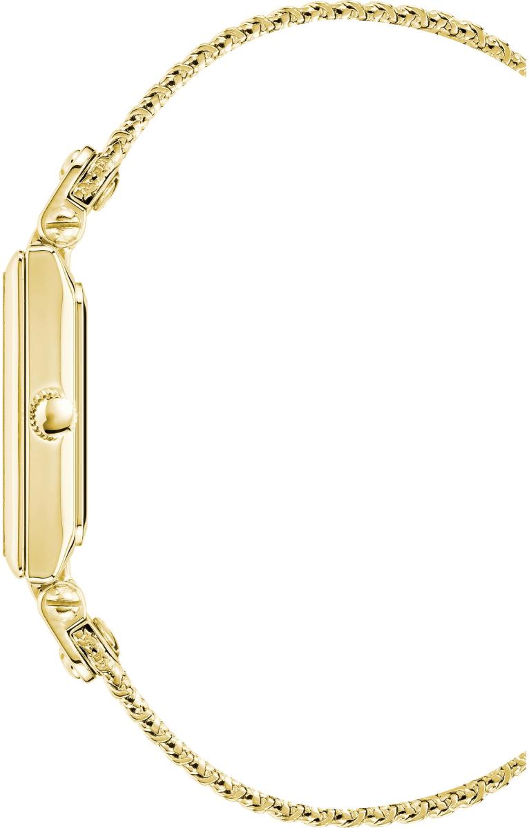 Наручные часы  Anne Klein  Metals Anne Klein 3882BKGB (фото 2)