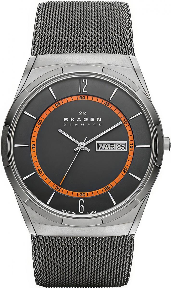 Наручные часы  Skagen  Titanium Skagen SKW6007 (фото 1)
