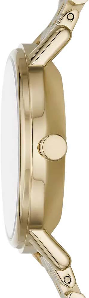 Наручные часы  Skagen  Aaren Skagen SKW3102 (фото 3)