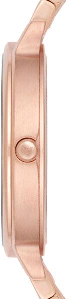 Наручные часы  Emporio Armani  Classics Emporio Armani AR11006 (фото 3)