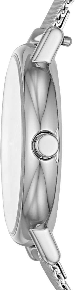 Наручные часы  Skagen  Steel Women Skagen SKW2759 (фото 2)
