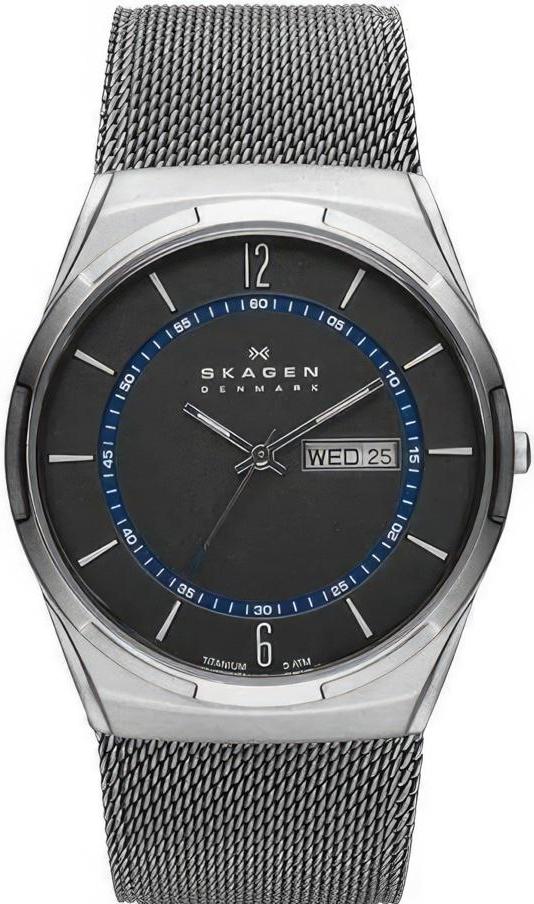 Наручные часы  Skagen  Titanium Skagen SKW6078 (фото 1)