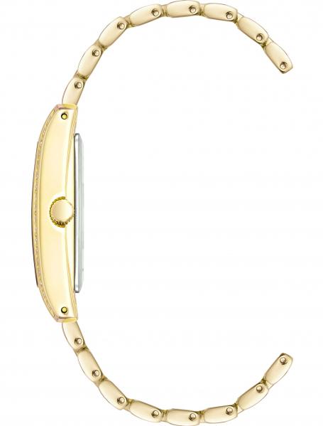 Наручные часы  Anne Klein  Steel Anne Klein 3990GBST (фото 2)