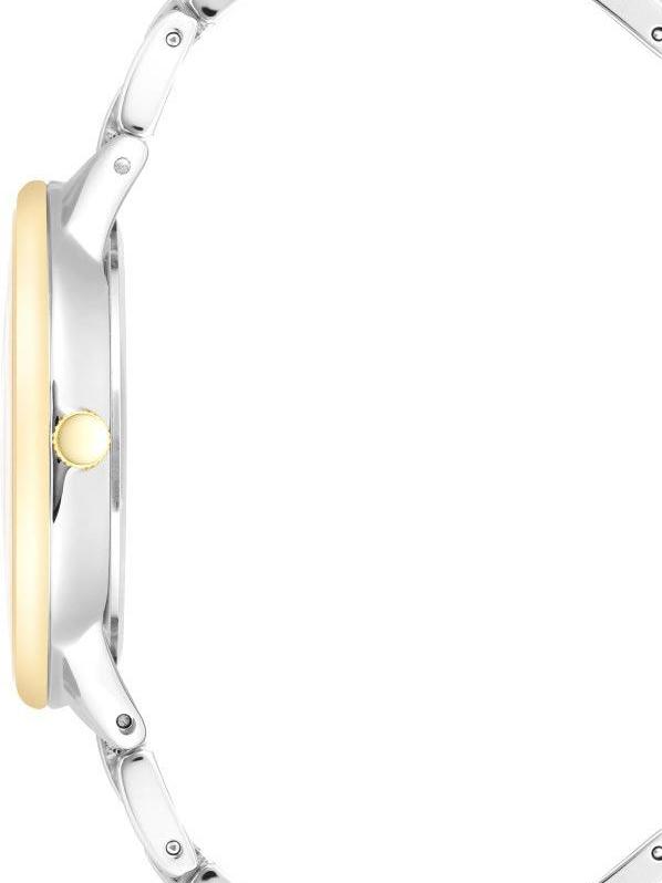 Наручные часы  Anne Klein  Steel Anne Klein 3877SVTT (фото 2)