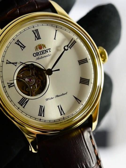 Наручные часы  Orient  Automatic Orient FAG00002W (фото 2)