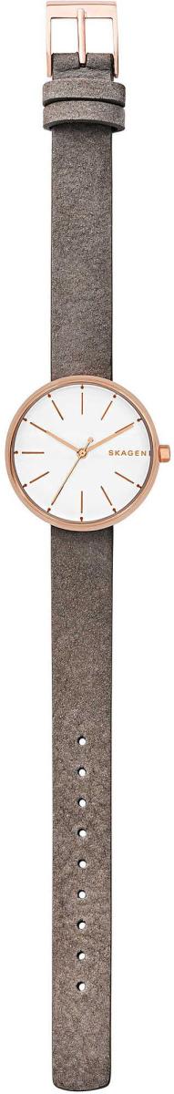 Наручные часы  Skagen  Leather Skagen SKW2644 (фото 2)