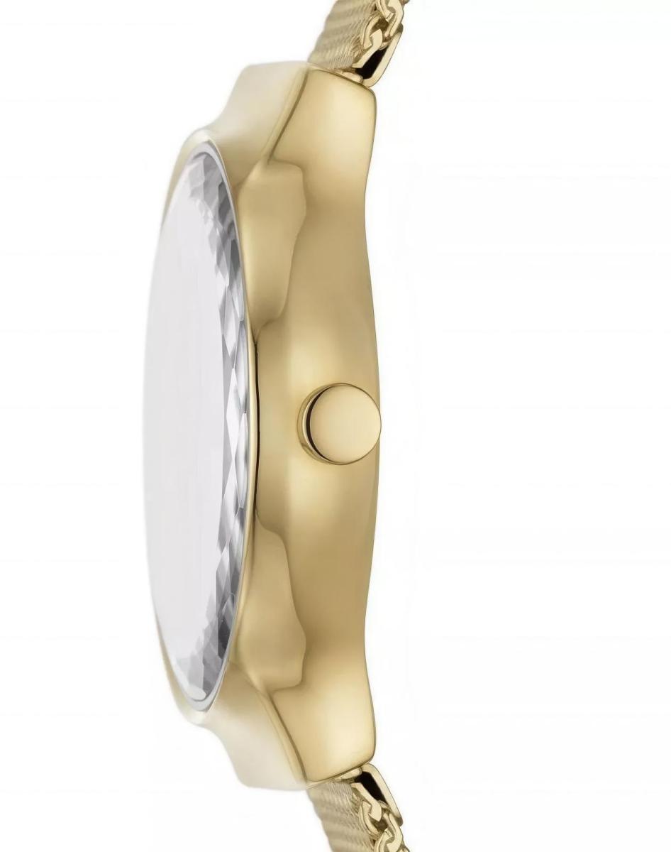 Наручные часы  Skagen  Freja Skagen SKW3110 (фото 2)