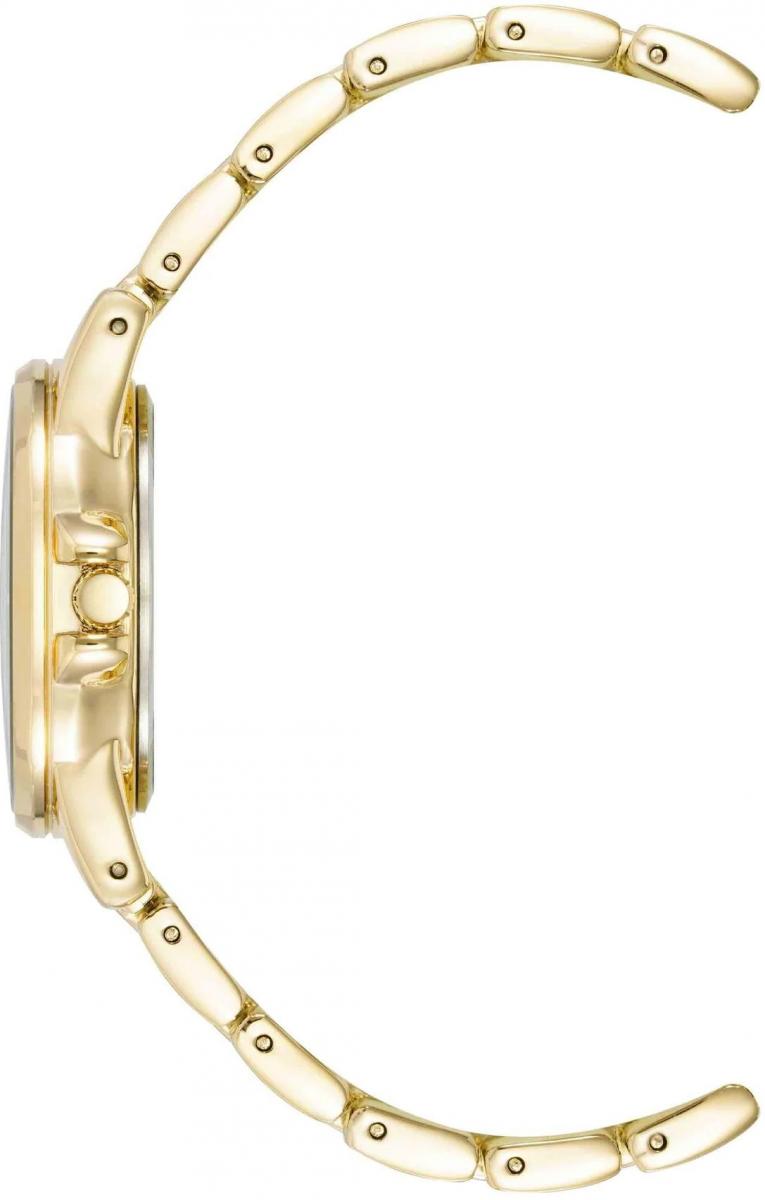 Наручные часы  Anne Klein  Metals Anne Klein 4132RAGB (фото 3)
