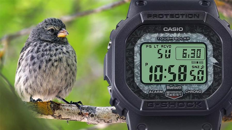 Наручные часы  Casio  G-Shock Casio GW-B5600CD-1A3 (фото 3)