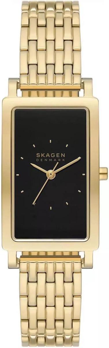 Наручные часы  Skagen  Black Label Skagen SKW3113 (фото 1)