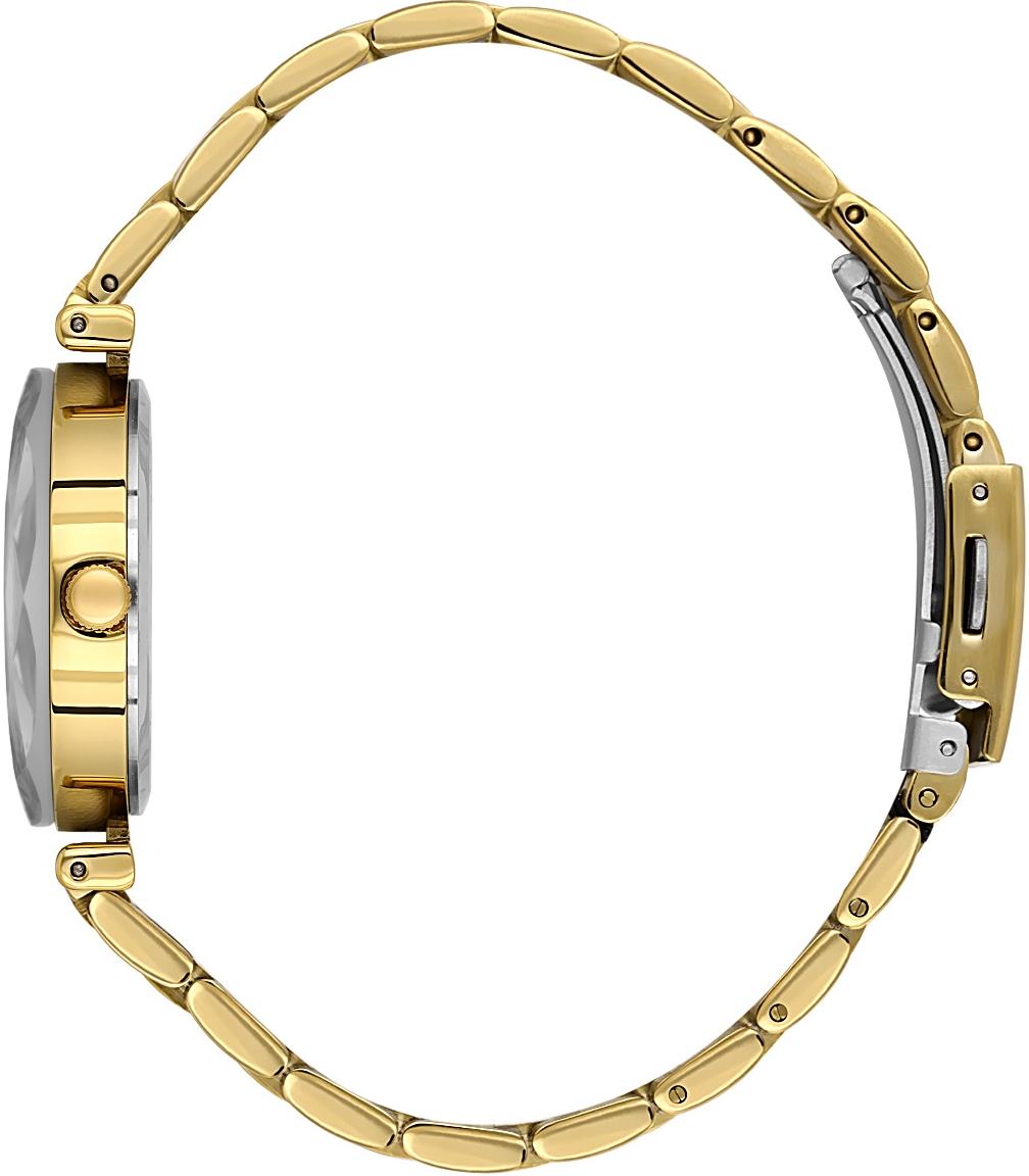 Наручные часы  Daniel Klein  Premium Daniel Klein 14189-2 (фото 2)