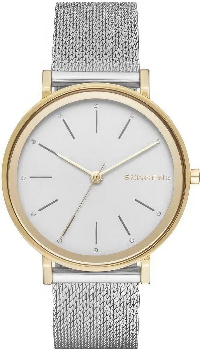 Наручные часы  Skagen  Steel Skagen SKW2508 (фото 1)