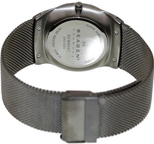 Наручные часы  Skagen  Titanium Skagen SKW6007 (фото 3)