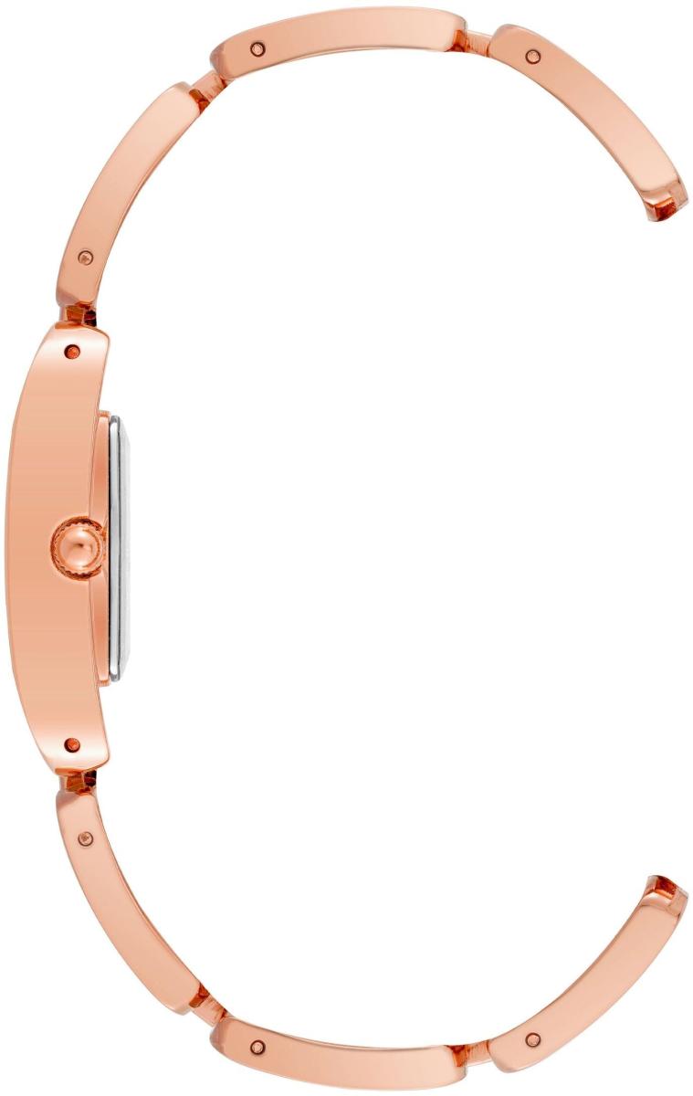 Наручные часы  Anne Klein  Steel Anne Klein 4068RGTE (фото 2)