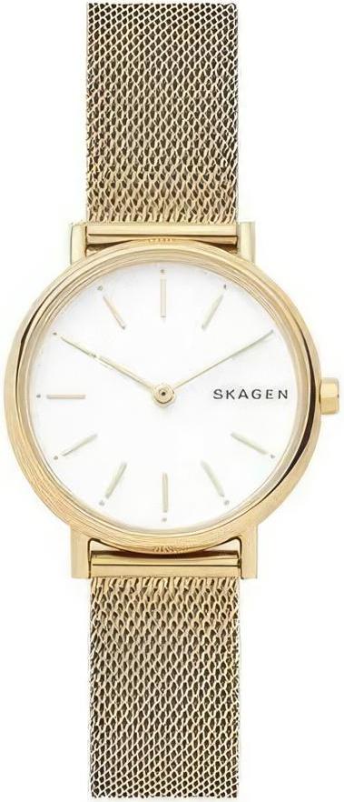 Наручные часы  Skagen  Steel Women Skagen SKW2693 (фото 1)