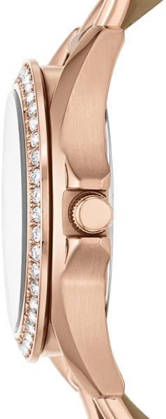 Наручные часы  Fossil  Multifunction Fossil ES3466 (фото 3)