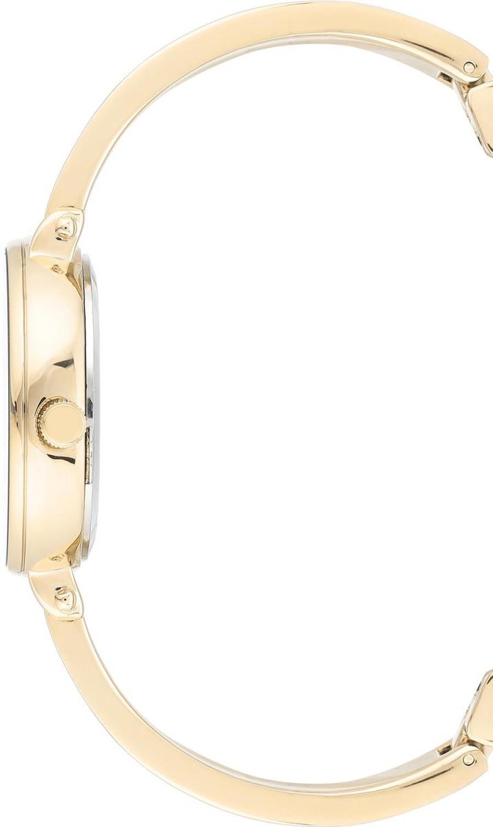 Наручные часы  Anne Klein  Box Set Anne Klein 3620PLST (фото 2)