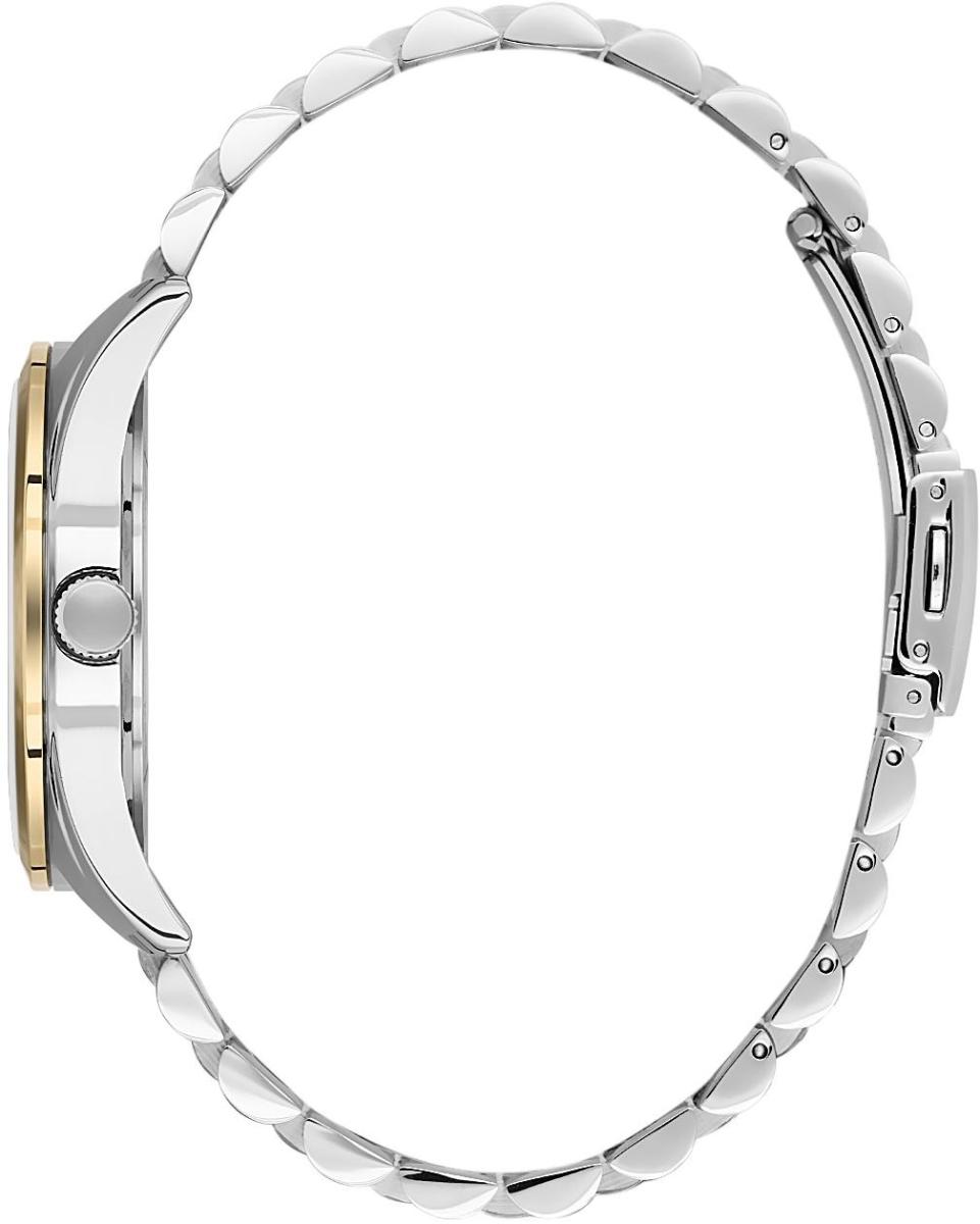 Наручные часы  Daniel Klein  Premium Daniel Klein 13835-4 (фото 2)