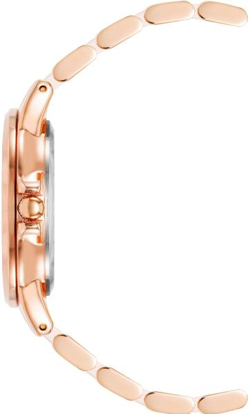 Наручные часы  Anne Klein  Diamond Anne Klein 4120BHRG (фото 2)