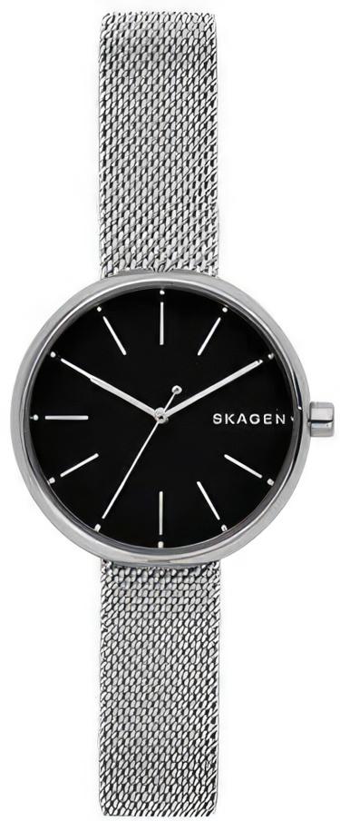 Наручные часы  Skagen  Steel Women Skagen SKW2596 (фото 1)