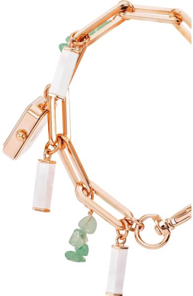 Наручные часы  Anne Klein  Steel Anne Klein 4108AVCH (фото 3)