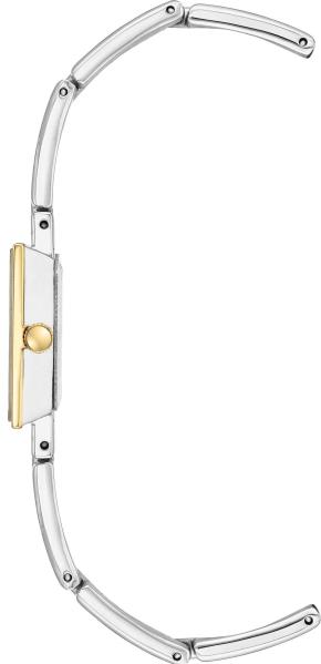 Наручные часы  Anne Klein  Steel Anne Klein 3945SVTT (фото 2)