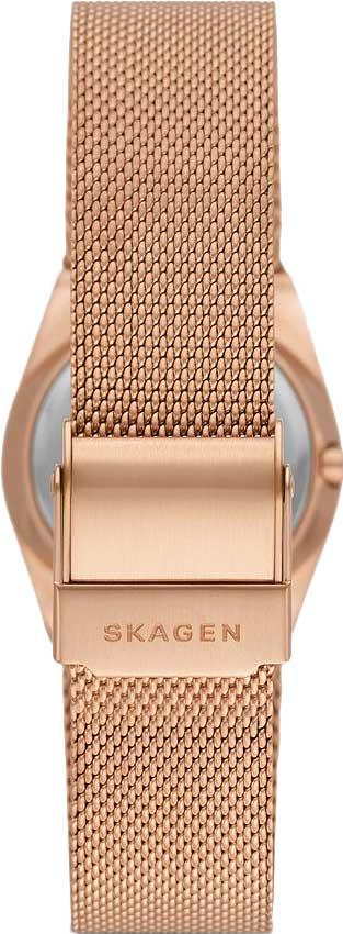 Наручные часы  Skagen  GRENEN Skagen SKW3035 (фото 3)