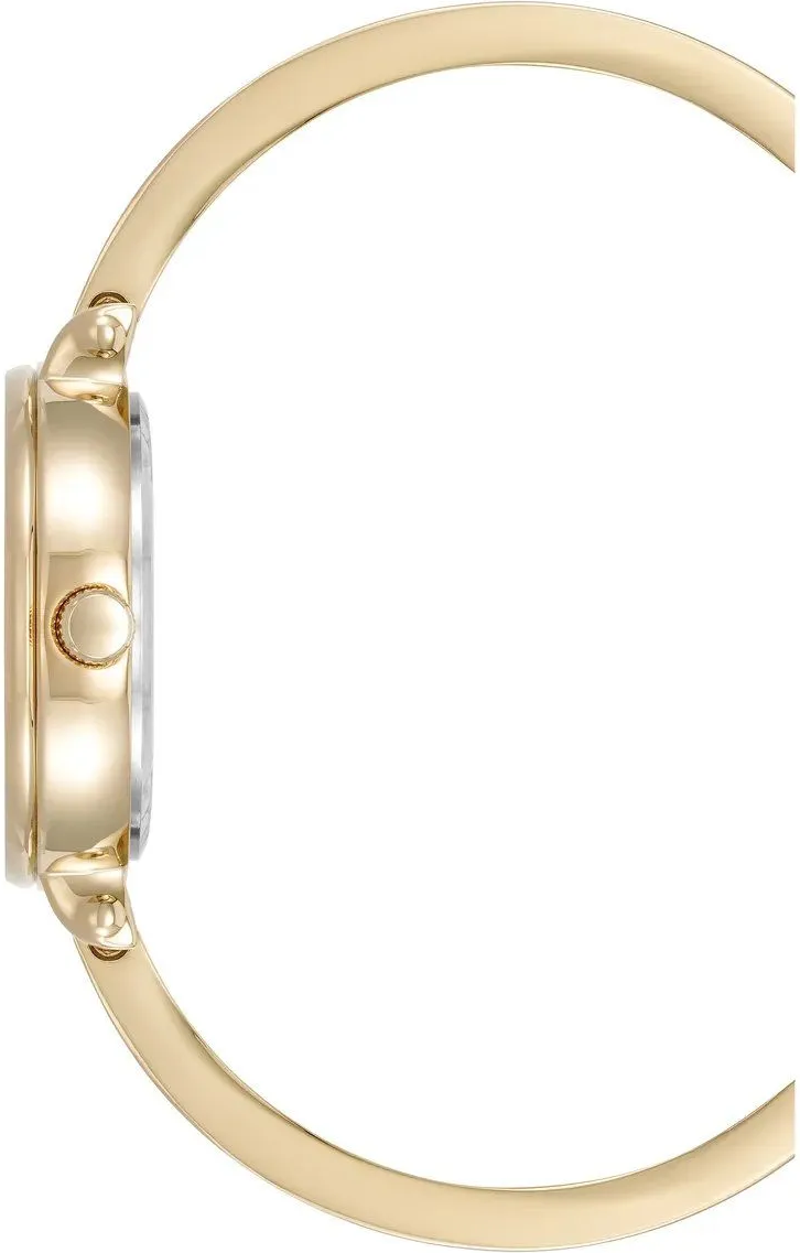 Наручные часы  Anne Klein  Box Set Anne Klein 5116GDST (фото 3)